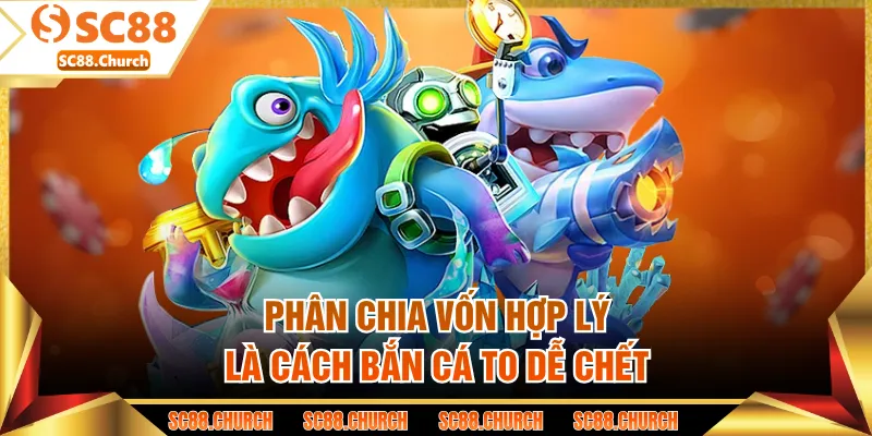Phân chia vốn hợp lý là cách bắn cá to dễ chết